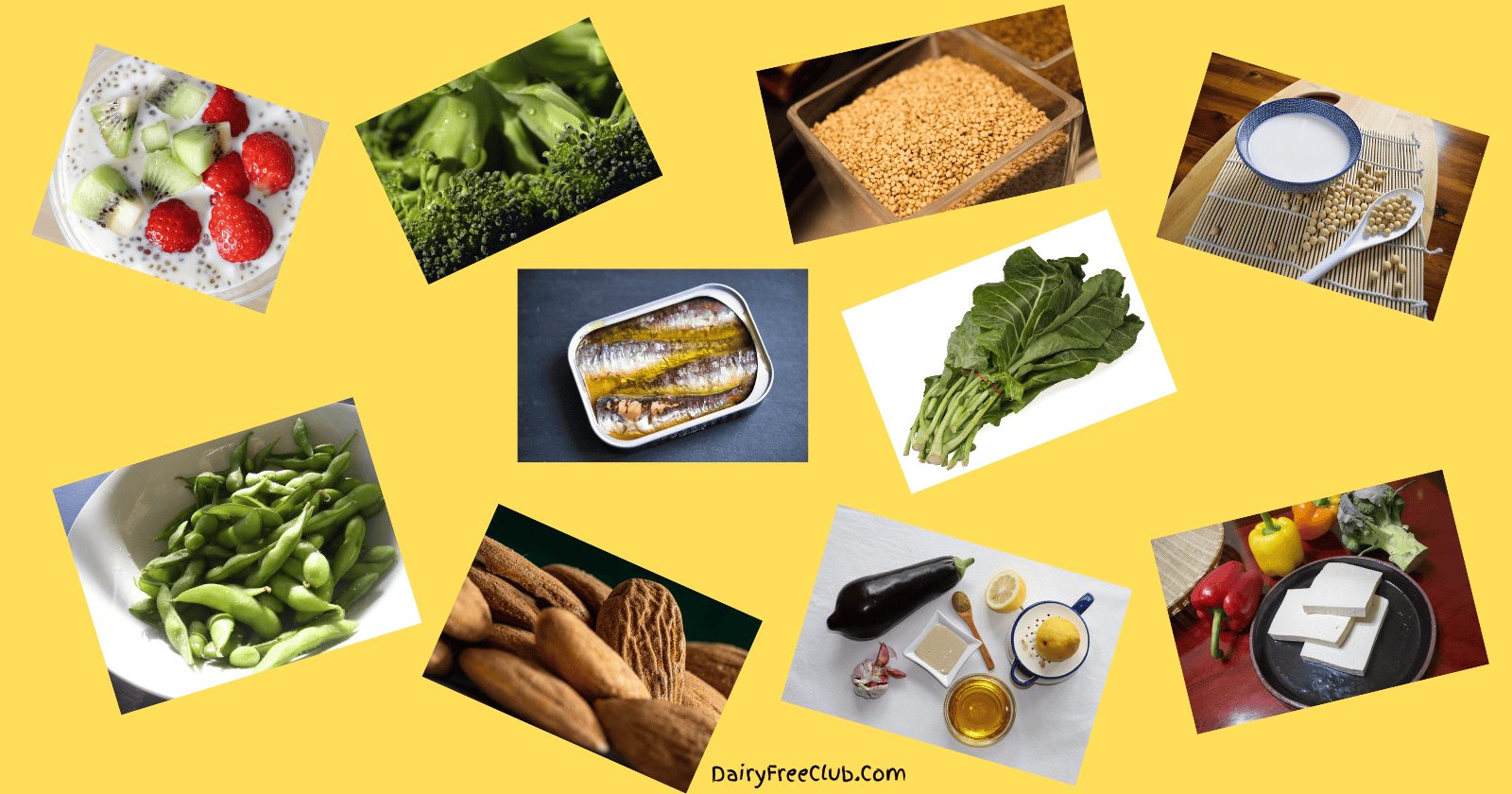 Non-Dairy Foods Rich in Calcium