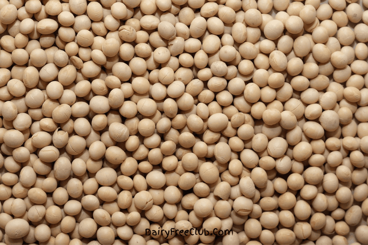Dry-Roasted Soybeans High protein Dairy Free Food
