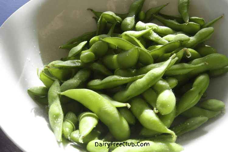 Edamame High protein Dairy Free Food