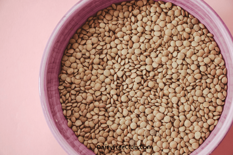 Lentils High protein Dairy Free Food