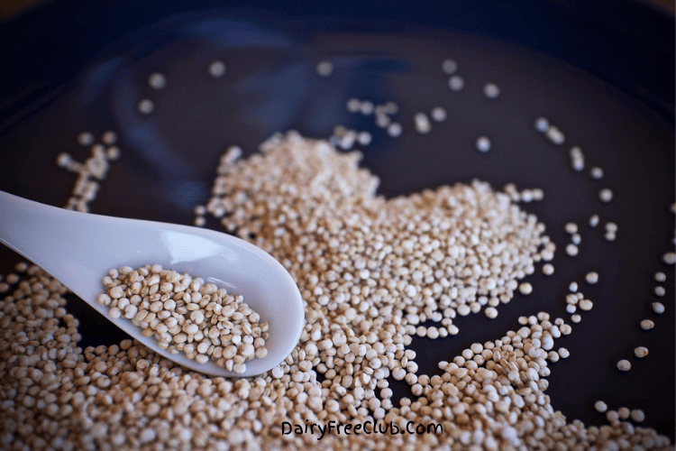 Quinoua High protein Dairy Free Food