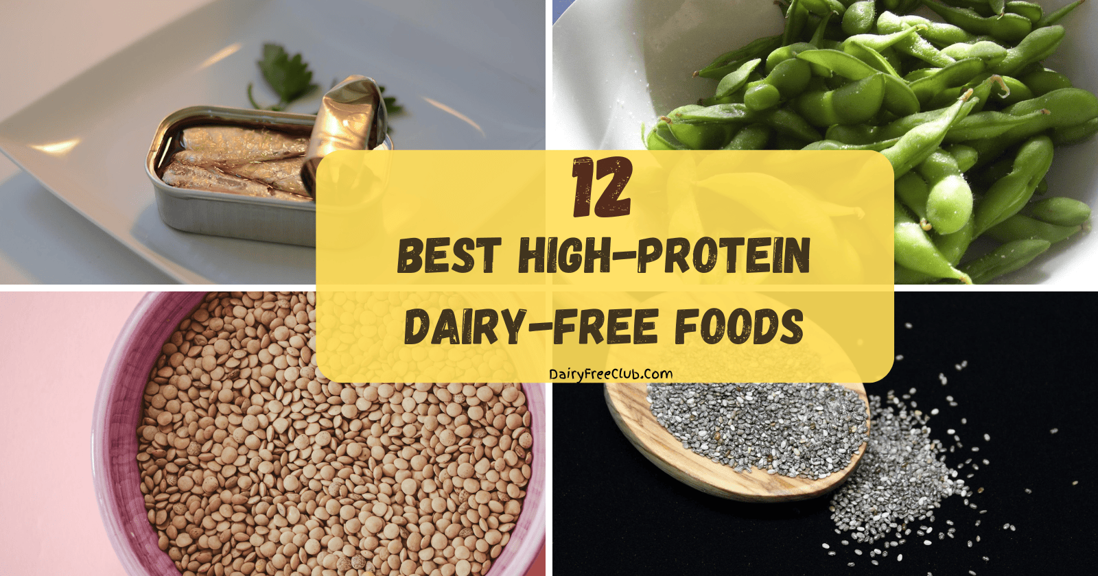 Best High-Protein Dairy-Free Foods